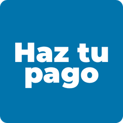 Haz tu pago